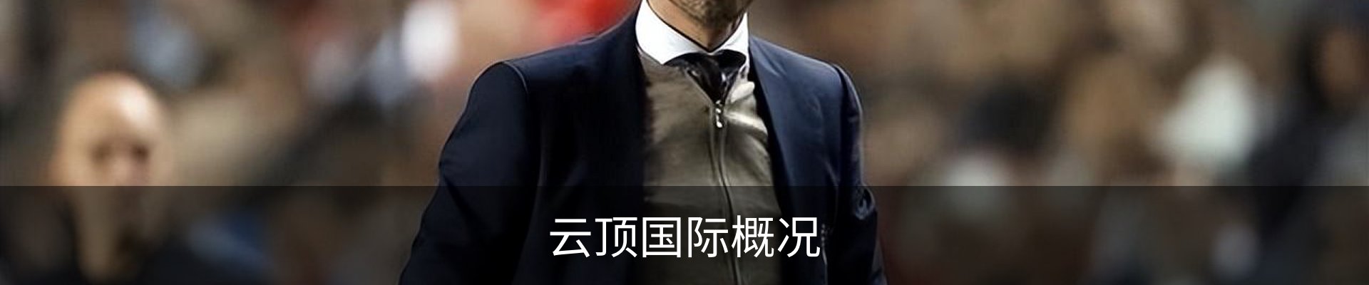 云顶国际概况