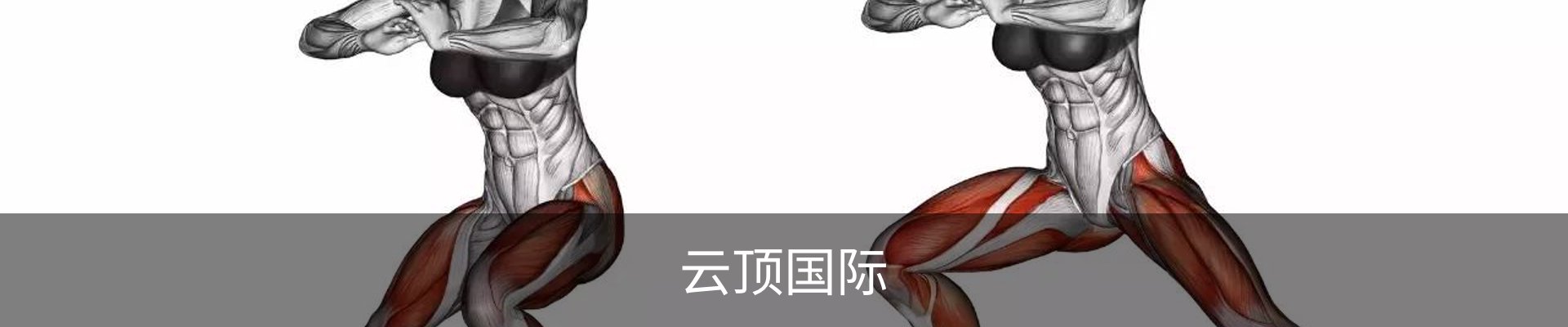 云顶国际
